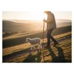 humility in Christian growth